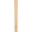 Attelle de genou traditionnelle-29310001-87189048