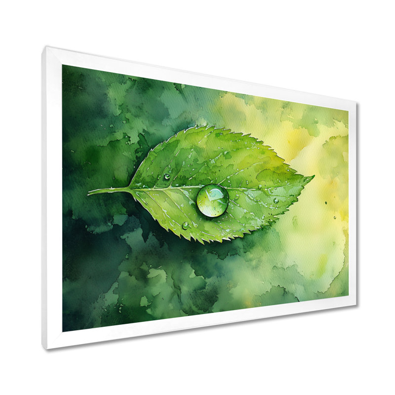 Goutte d'eau verte sur feuille II - feuilles, art mural, H 16 po x l 32 po, Reproduction encadrée d'une seule photo, Blanc