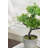 Small Leave Topiary In Pot