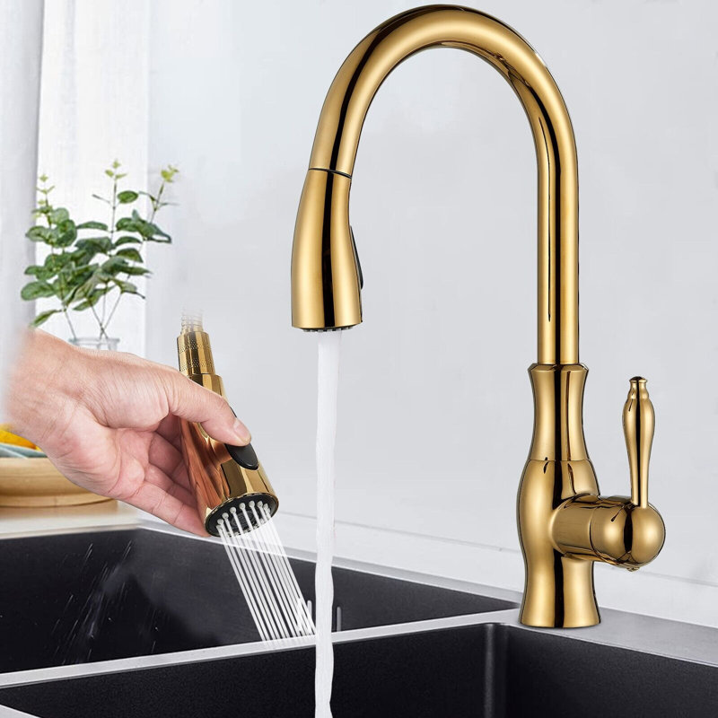 Fairmont Park Osterdock Pull Out Kitchen Faucet