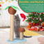 Grattoir pour chat Coconut Palm Tree