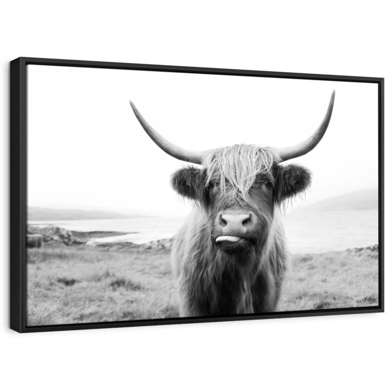 Animal «Vache Highland», H 31 po x l 21 po