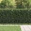 Powder-Coated Steel Fence Panels Included-124587308