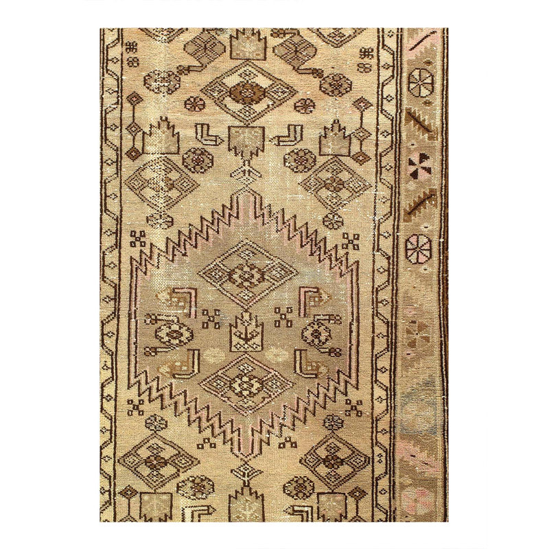Hartwald Oriental Area Rug