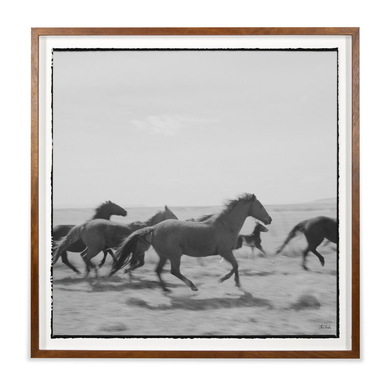 Running Horses Print by Chris Dunker, 40" H x 40" W 