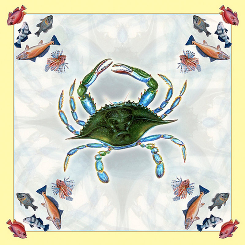 Nappe de crabe de crabe féminine