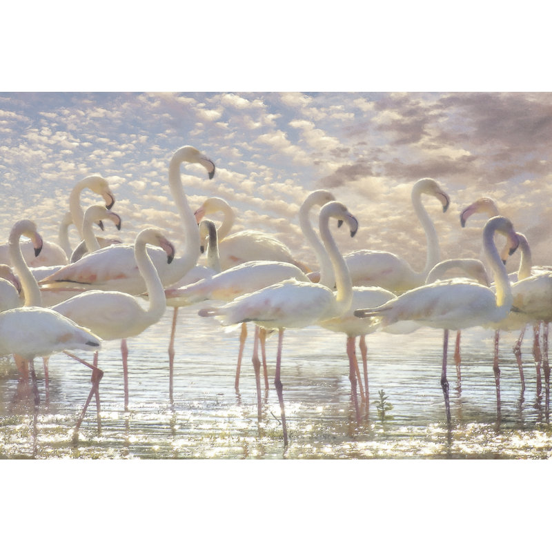 Quiet Wave Of Pink by Steve Hunziker - Wrapped Canvas Print, 30cm H x 46cm W x 3.8cm D