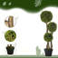 90cm Plant