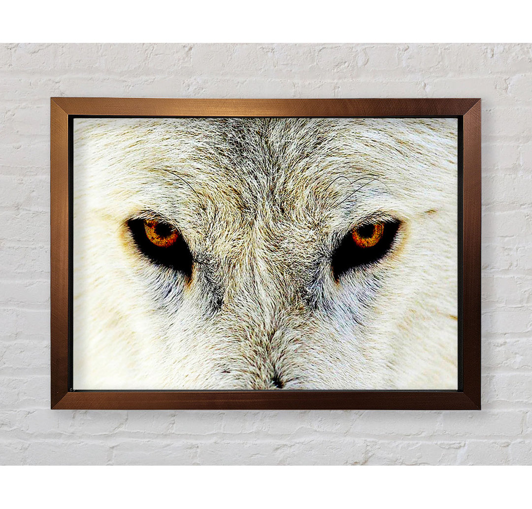 Arctic Wolf Eyes Gerahmter Druck