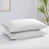 Blanc brillant est en rupture de stock