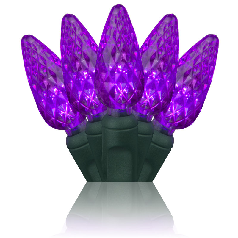 70 Light C6 LED Christmas String Lights, Purple