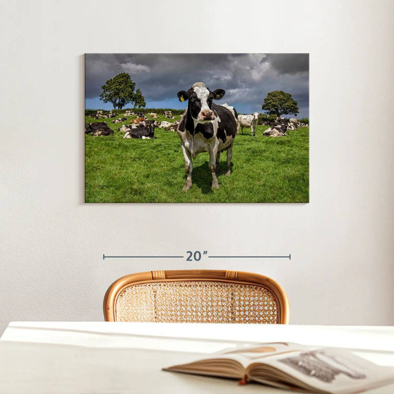 Brampt Holstein Cow, 16" H x 24" W
