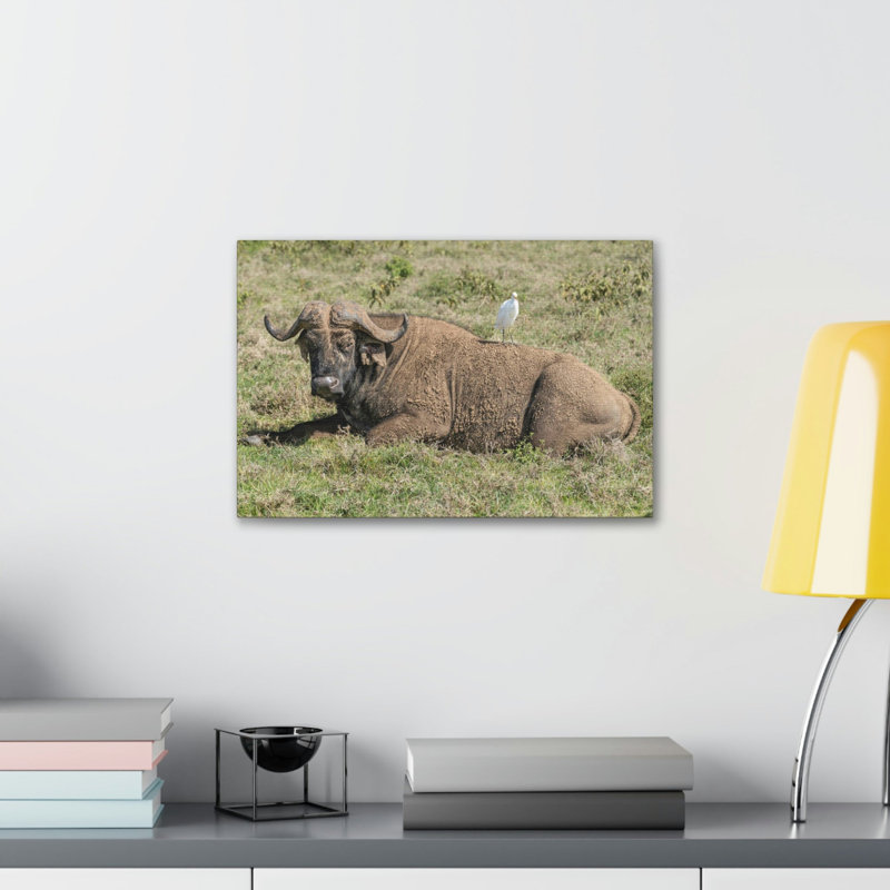 Art mural majestueux Buffalo, H 11 po x l 14 po
