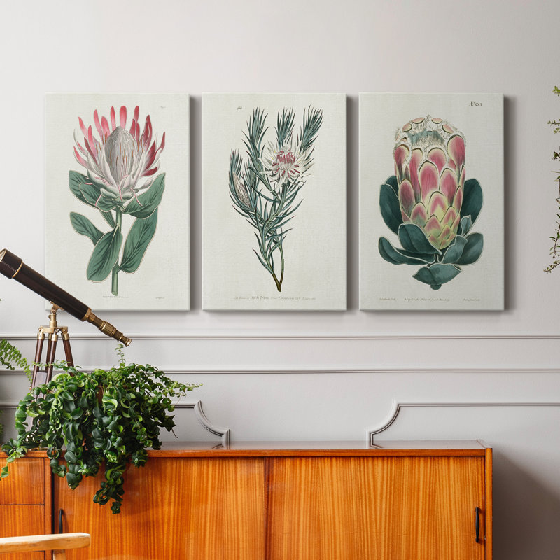 Protea N14- Premium - 3 Piece Wrapped Canvas Print, 48" H x 36" W x 1" D