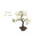 20'' Faux Bonsai Tree in Ceramic Decorative Vase