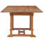 Celise Outdoor Teak Dining Table