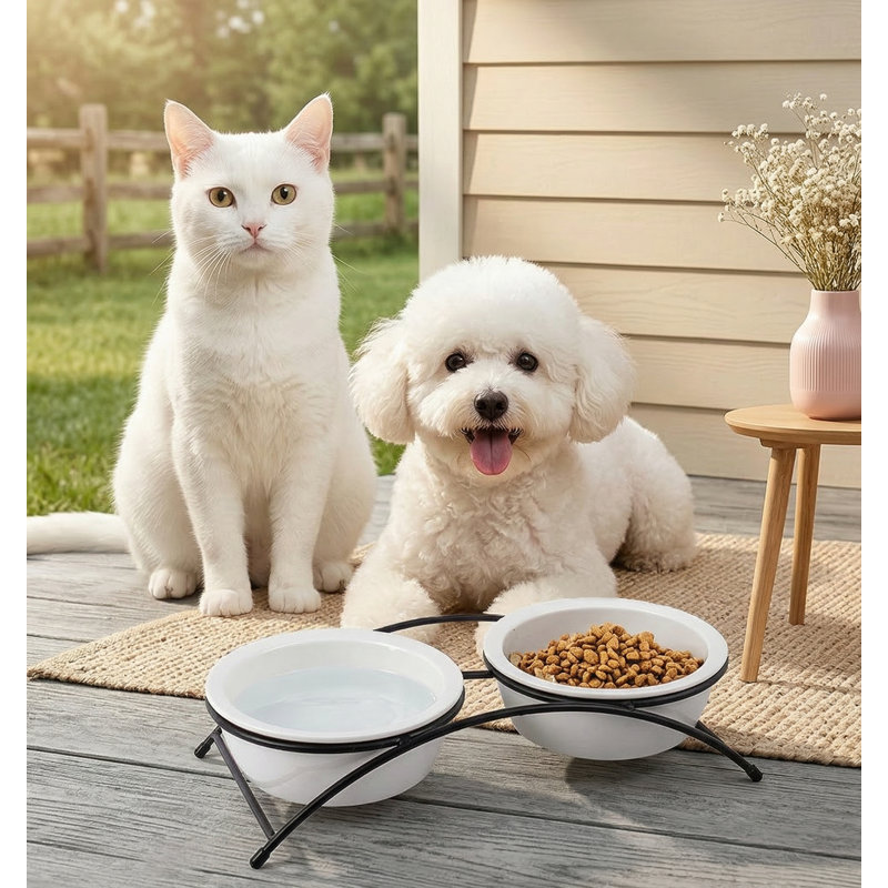 Ensemble de bol pour chat et petit chien en céramique 12 oz, lavable au lave-vaisselle