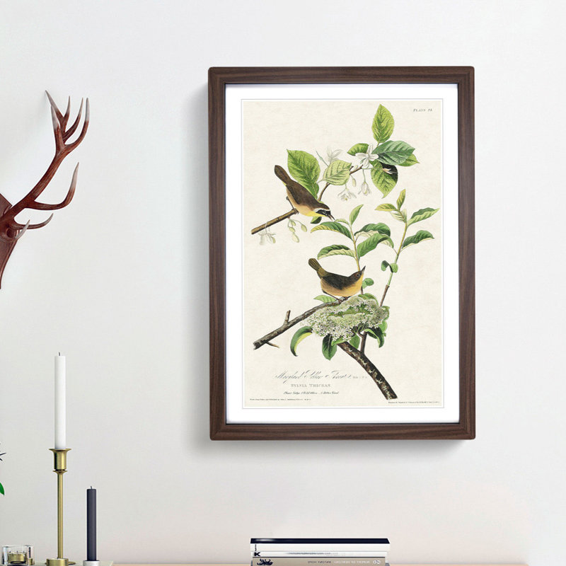 Yellow-Breasted Warbler Birds by John James Audubon - Picture Frame Graphic Art Print, Walnut Framed, 36cm H x 27cm W x 2cm D