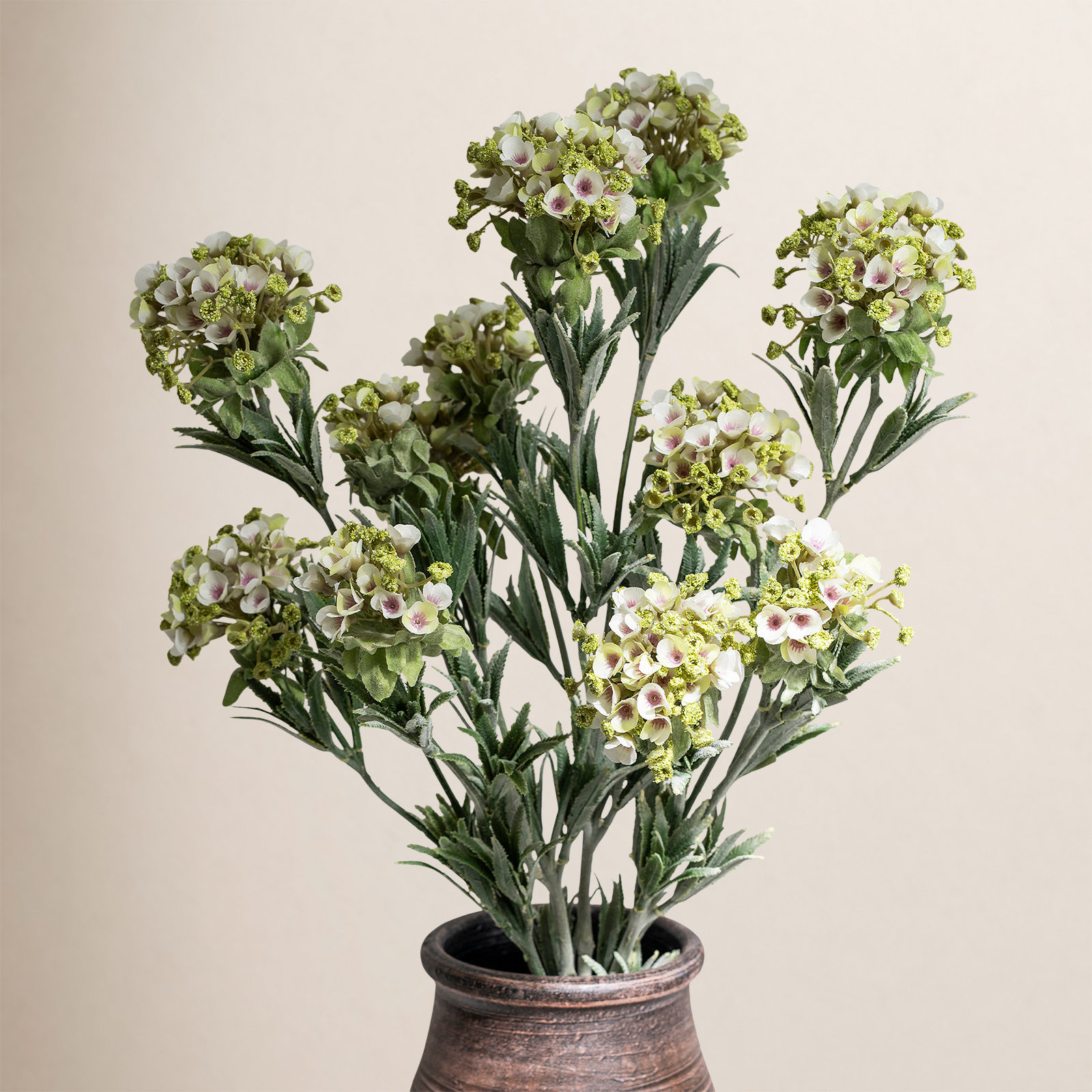 Audet Sweet Alyssum Stems, White