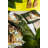 Leopard Cotton Kitchen Towel Linen Set