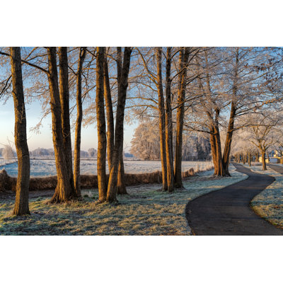 Froid et ensoleillé matin d'hiver par Relaxfoto.De