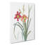 Pink Day Lilies by Pierre-Joseph Redoute - Wrapped Canvas-55325461