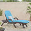 CHAISE Longe avec coussin-307916924