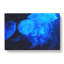 Jellyfish Vol.1 - Wrapped Canvas-61854232