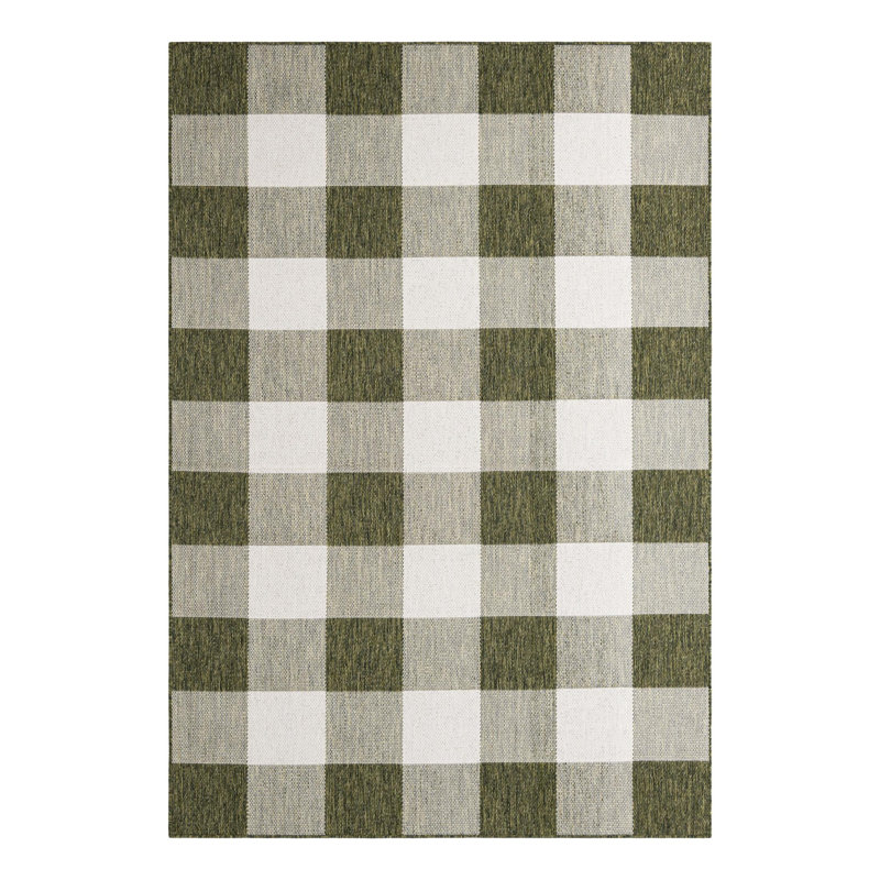 Tereon Checkered Machine Made Power Loom Polypropylene Plastic Indoor/Outdoor Area Rug in Green, Rectangle 6'1" x 9'