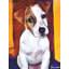 Baby Jack-107113257