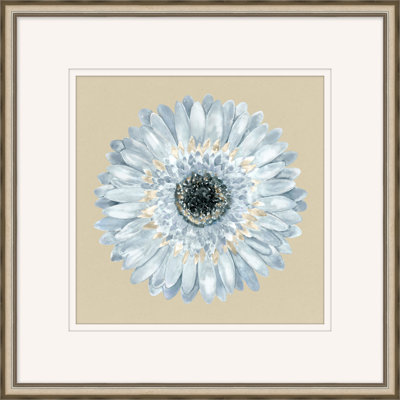 Daisy Daisy 2 Daisy Daisy 2