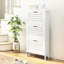 3 tiroirs à chaussures pour le vestibule, blanc mince, pouvant accueillir 6 paires de chaussures, armoire pratique et tendance de style blanc