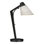 Reach 21.9" Desk Lamp