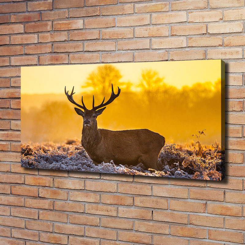 Deer Sunrise - Wrapped Canvas Print