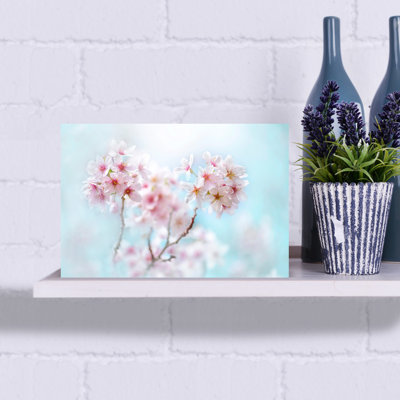 Fleurs de cerisier roses tendres