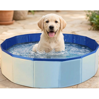 Folding Dog Swimming Pool, Portable Dog Bathtub, PVC Non-Slip Bath Tub, Collapsible Pool for Dogs & Cats, 24x8 Inches, Blue