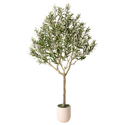 Ashwell Faux Olive Tree
