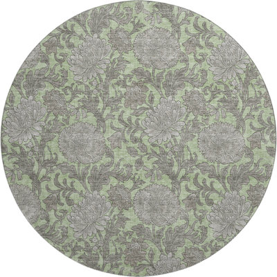 Premium Machine Washable Prisco Aloe Rug