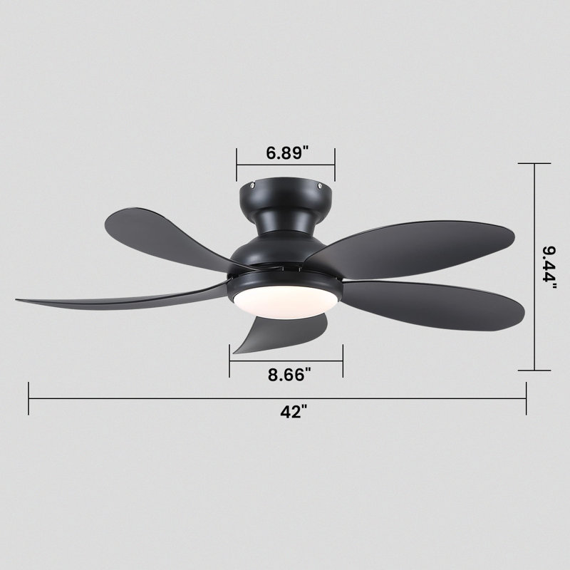 Fan Light, Black