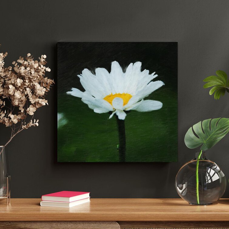 Gracie Oaks Close Up Photography Of White Daisy Flower On Canvas ...