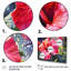 Hibiscus rouge tropical harmonie II-1755139455-1755139438