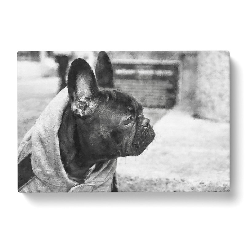 French Bulldog Vol.2 - Wrapped Canvas Painting, 40cm H x 60cm W x 3cm D
