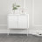 Ava 24" Modern Stainless Steel Accent Cabinet with 2 Adjustable Shelves in White-1577528242