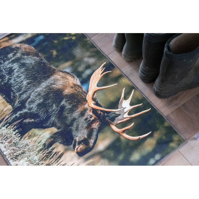 Tapis Moose, Rectangle de 2 pi x 3 pi