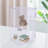 7.87" 2-Tier Acrylic Display Shelf Countertop Storage Stand