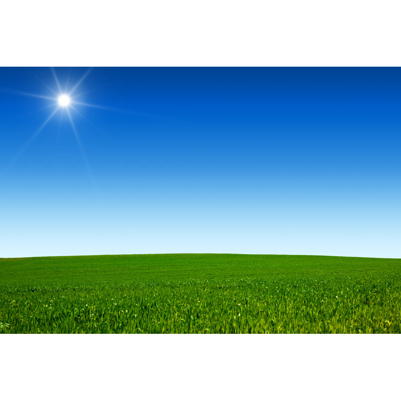 Sunny Field by Ineskoleva, 12'' H x 18'' W