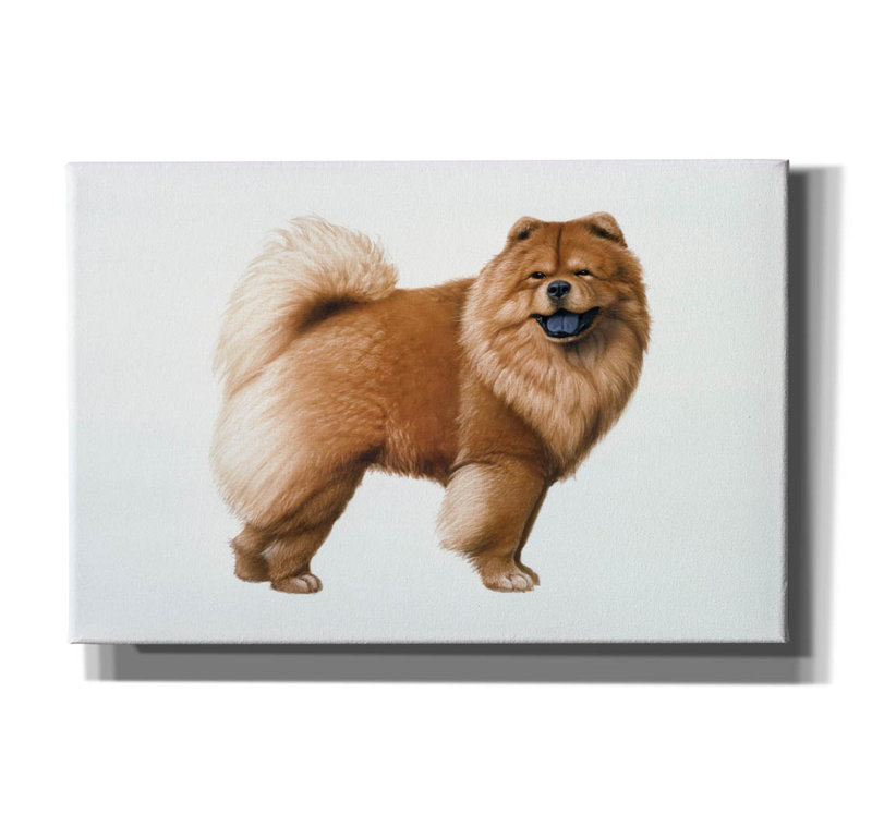 «Chow Chow» par Harro Maass, art mural sur toile, L 18 po x H 12 po x P 0,75 po