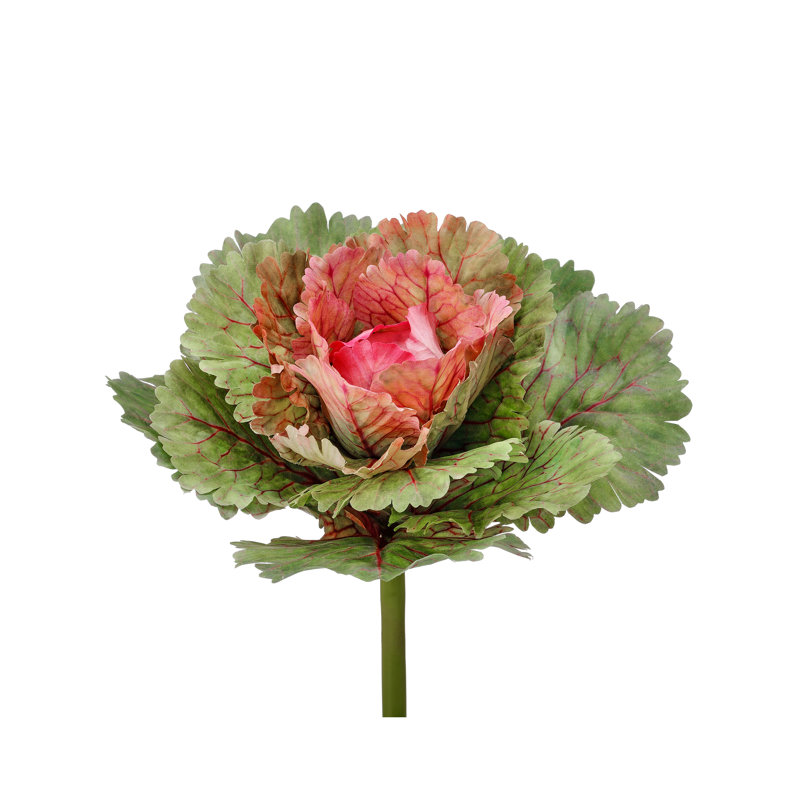 Piqûre ornementale chou frisé, Rose
