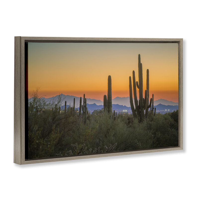 «Cacti Looming Sunset Floater» par Marty Hulsebos, Cadre flottant orme Montalcino, H 17 po x l 25 po