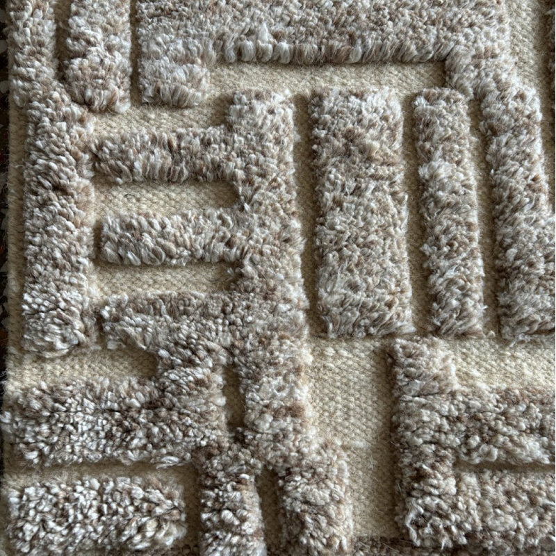 Hand Knotted Wool Area Rug, Rectangle 9' x 12'